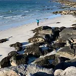 Semesterbostad I Lofoten Sundklakk