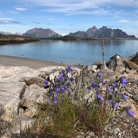 Casa vacanze I Lofoten *