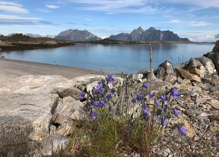 Semesterbostad I Lofoten *